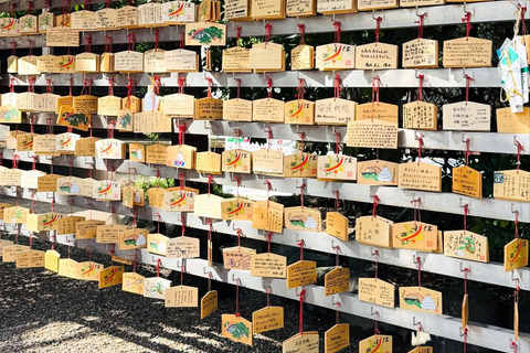 Osaka & Nara: Private Tour with English speaking guide Osaka & Nara: Couple friendly tour with vehicle and guide