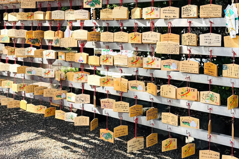 Osaka & Nara: Private Tour with English speaking guide Osaka & Nara: Couple friendly tour with vehicle and guide