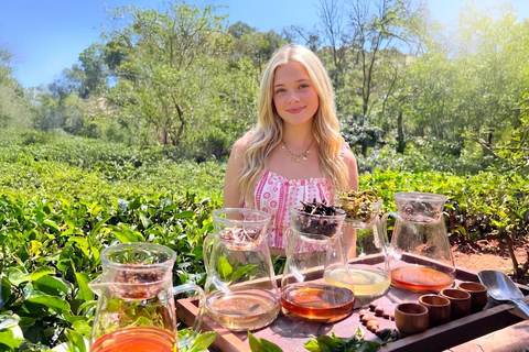 Ella: Be a Tea Farmer for a Day with Tuk-Tuk Tour & Tasting Ella: Be a Tea Farmer for a Day with Tuk-Tuk & Tasting