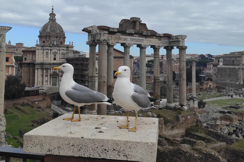 Roma: Tour particular personalizável em um carrinho de golfe elétrico