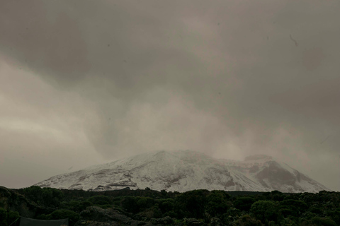 Percorso Lemosho di 8 giorni – Vetta del Kilimangiaro a Capodanno 20268 giorni sul percorso Lemosho: raggiungi la vetta del Kilimangiaro a Capodanno 2026