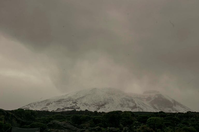 Percorso Lemosho di 8 giorni – Vetta del Kilimangiaro a Capodanno 20268 giorni sul percorso Lemosho: raggiungi la vetta del Kilimangiaro a Capodanno 2026