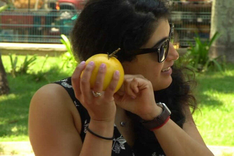 Tropikalne owoce Brazylii w São PauloDegustacja owoców dla grup