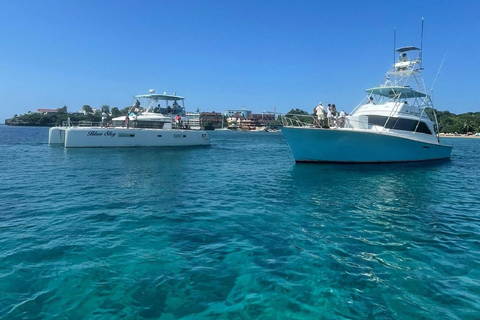 Puerto Plata: Catamaran Party with Snorkeling and Open Bar