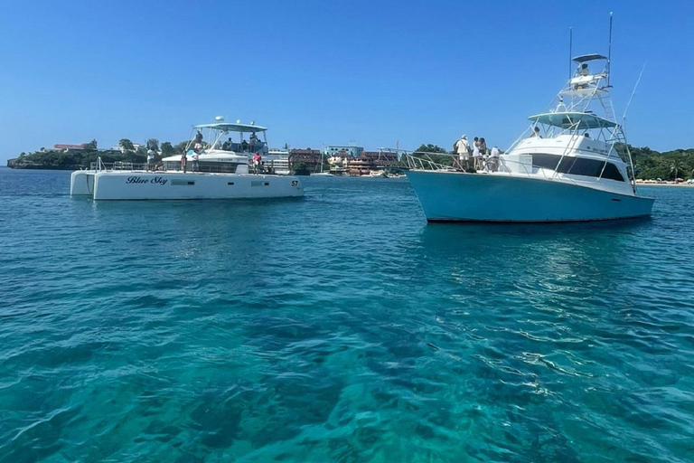 Puerto Plata: Catamaran Party with Snorkeling and Open Bar