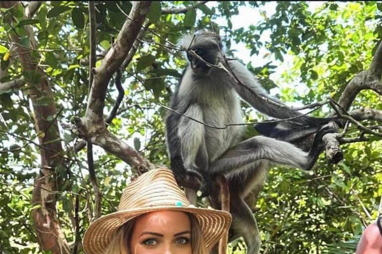 Zanzibar: Stone Town, Jozani Forest, Turtle Swim & The Rock Tour Without Hotel Transfer