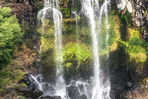 Isola di Jeju: tour di un giorno a sud e ovest