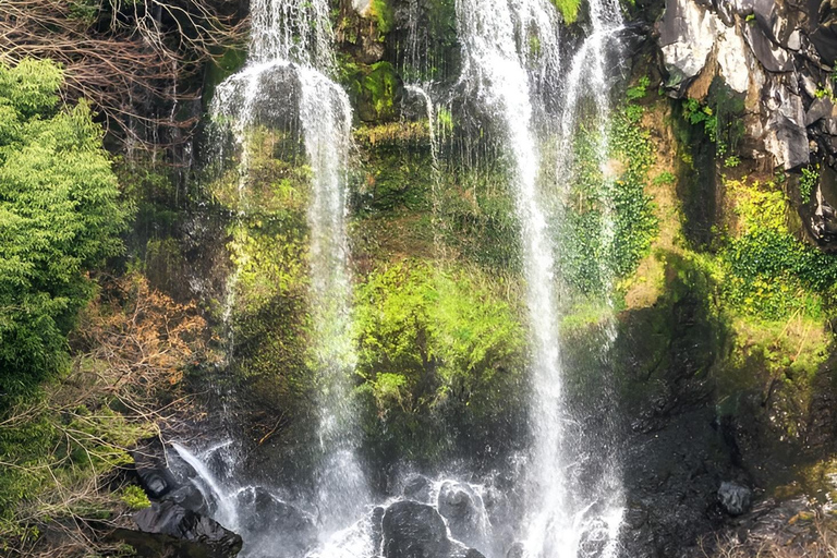 Jeju eiland: Zuidelijke &amp; westelijke dagvullende tour