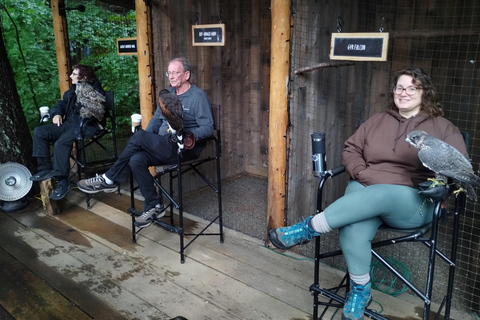 4Tour:Capilano Suspension Br/CAR/Small GROUP+Lake+Dam+Hacher