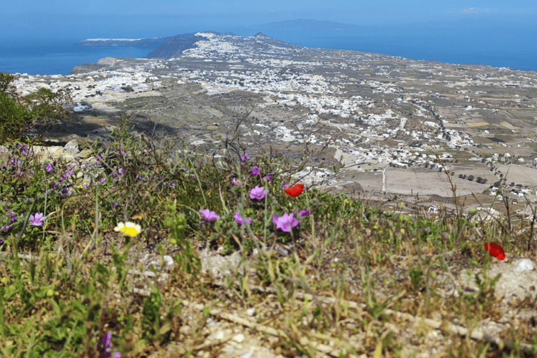 Santorini: 5-stündige Feinschmecker- und Getränketour mit lokalem Guide