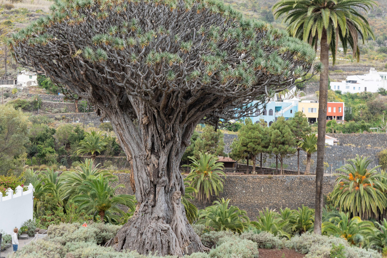 Balades Découverte Teide - La Orotava - Icod de los Vinos