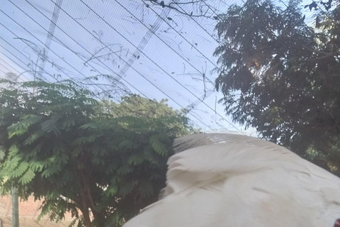 Z ATS odwiedź Dakar, od 3 do 6 godzin dostępności...Z ATS odwiedź Dakar, od 3 do 6 godzin dostępności....