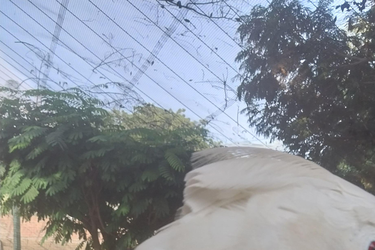 Z ATS odwiedź Dakar, od 3 do 6 godzin dostępności...Z ATS odwiedź Dakar, od 3 do 6 godzin dostępności....