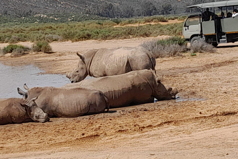 Aquila wildreservaat zonsondergangsafari met privévervoer