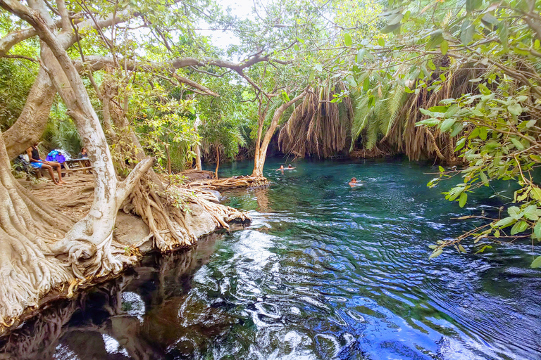 Báñate en la piscina natural de Chemka Hotspring en una excursión de un día