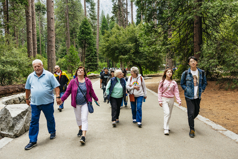 Ab San Francisco: Tour zum Yosemite NationalparkTour auf Englisch