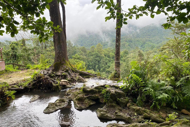 Templo de Doi Suthep, Quinta de Orquídeas e Cascata de Sticky com almoço