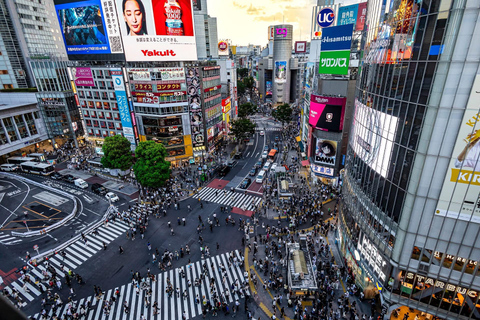 Tokyo Luxury Private City Tour Customizable with Guide