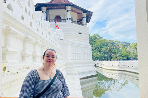 Kandy Day tour With Tea Factory from Colombo