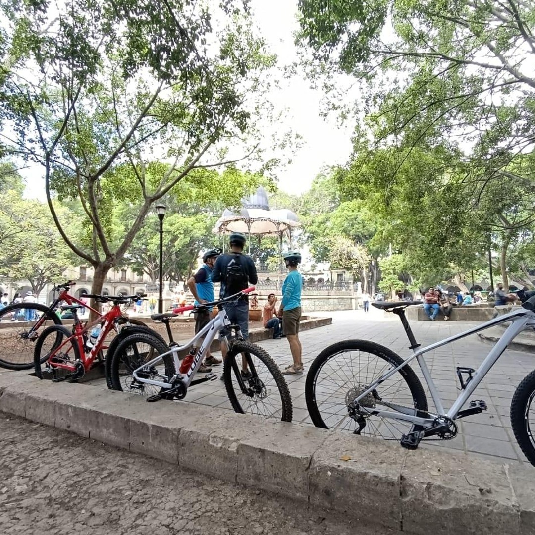 Galería de fotos para redes