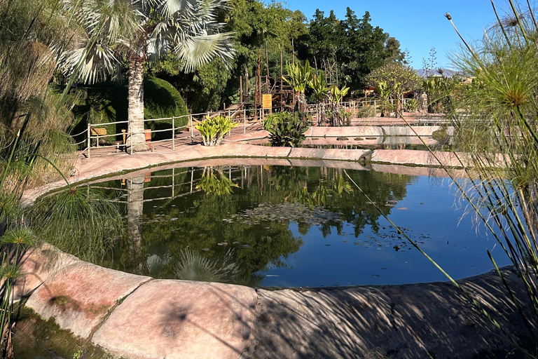 Agadir: Goats on Trees & Crocoparc Tour Goats on Trees & Crocoparc – Entry Ticket Included