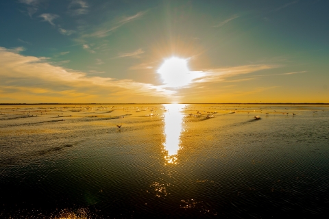 Kissimmee: billet d'excursion en hydroglisseur au coucher du soleil dans les Everglades de Boggy Creek