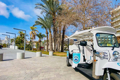 Alicante Tuk Tuk Overview Tour