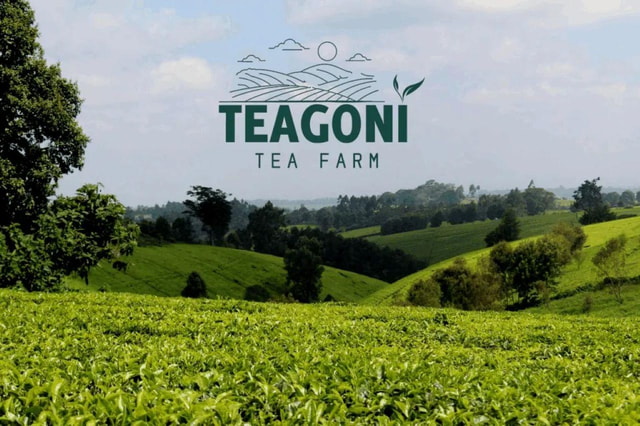 Tigoni Sensory Garden Tea Farm Tour with Tea Tasting & Lunch