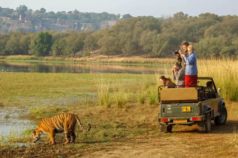 Ranthambore National Park 3-daagse met safariritten