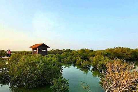 الدوحة: جولة إيكولوجية بصحبة مرشد في غابة المفرق المانغروفالدوحة: جولة إيكولوجية بصحبة مرشدين في غ