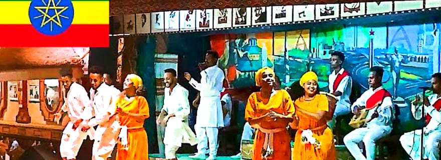 Visite guidée des chiots et de la vie nocturne à Addis-Abeba.