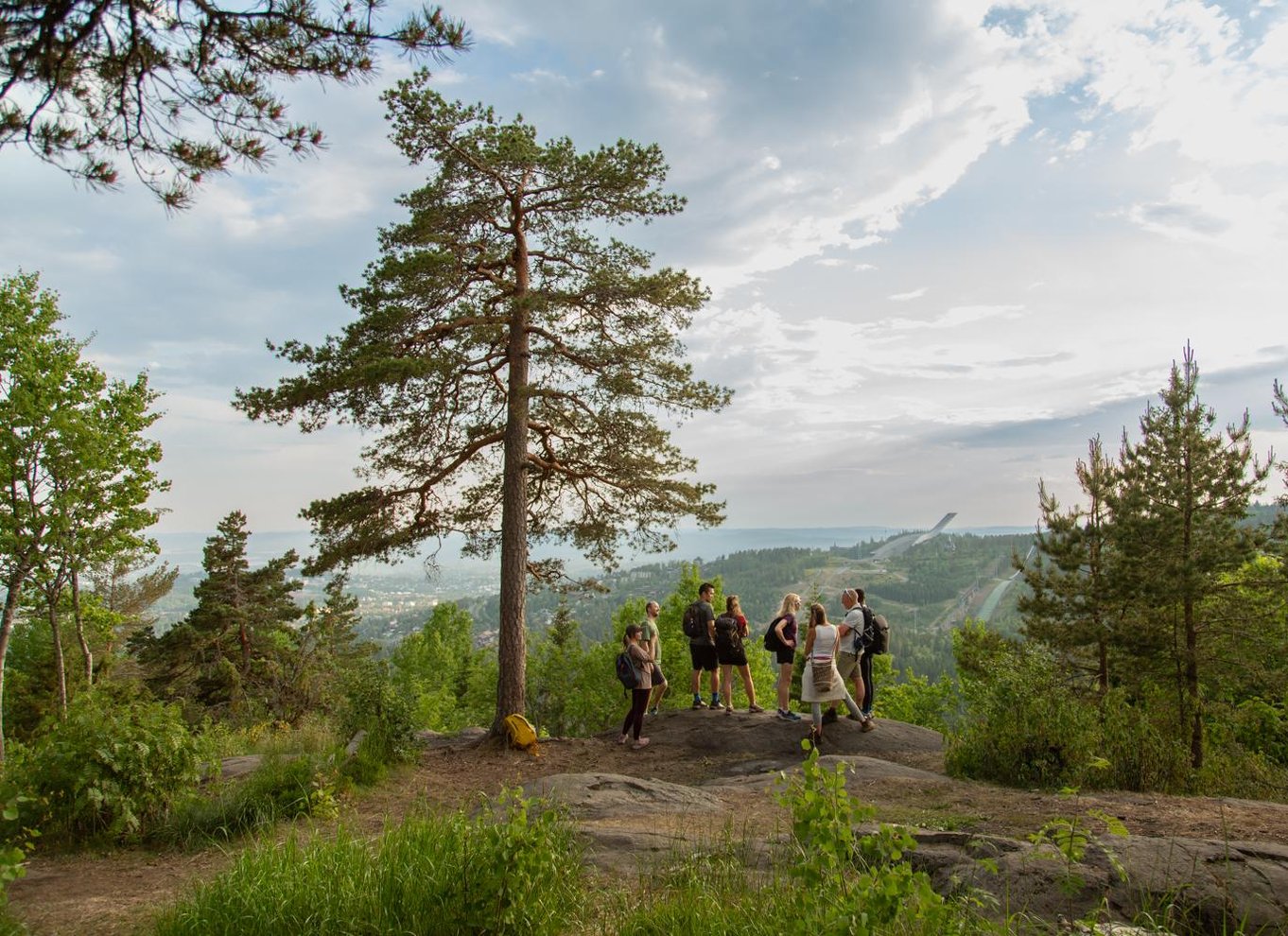 Oslo: Bedste udsigt over Oslofjord-vandringen