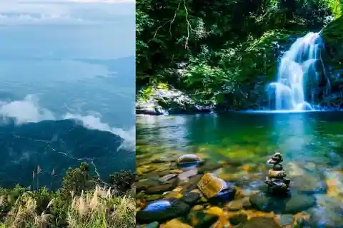 Excursión de senderismo por el Parque Nacional de Bach Ma : Hoi An / Da Nang / Hue