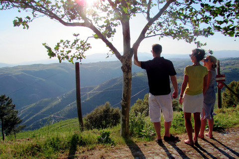 Half Day Douro Valley Tour with Cruise and Winery Lunch
