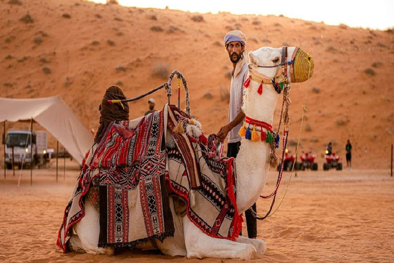 Riyadh: Desert Camp with Camel Ride, Dinner, and DJ