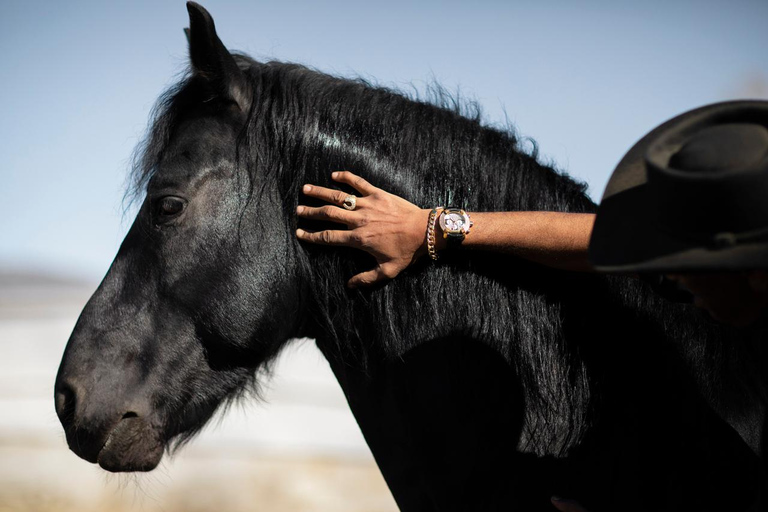 Wadi Rum: Horseback Ride to Khazali Canyon & Sand Dune