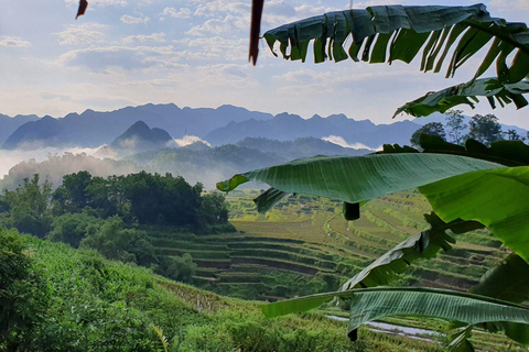 Au départ de Hanoi : Circuit de 3 jours dans la réserve naturelle de Pu Luong