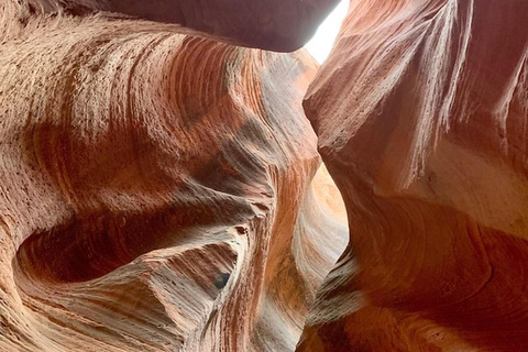 Orderville: East Zion Slot Canyons Award-Winning UTV Tour