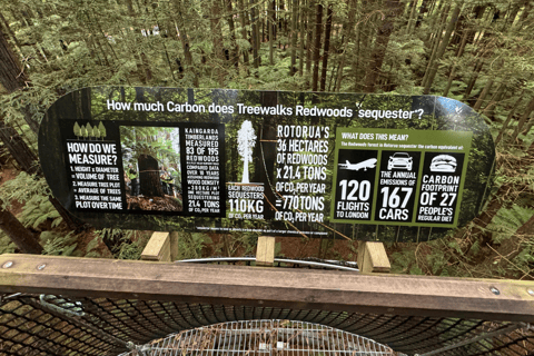 Private Day Tour - Hobbiton Movie Set, Rotorua & Treewalks