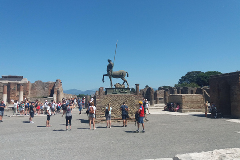 Pompeii No-line Entrance Tickets with audioguide