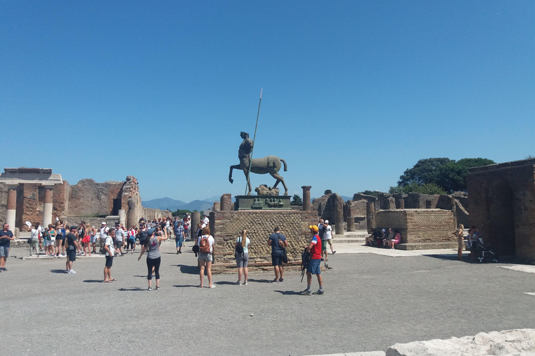 Pompeii No-line Entrance Tickets with audioguide