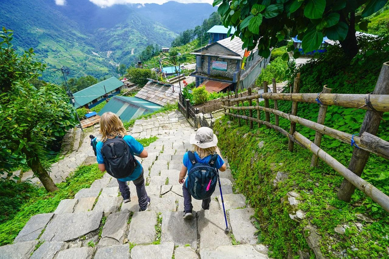 Katmandu: 6 dagars vandring i Ghorepani, Poonhill och GhandrukPrivat Trek Tour med måltider inkluderade.