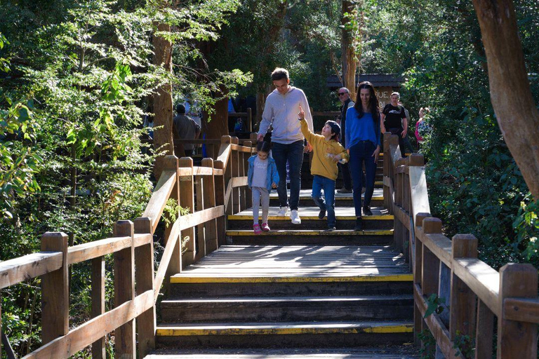 Bariloche: Boat Tour to Victoria Island and Arrayanes Forest Tour Without Transfer