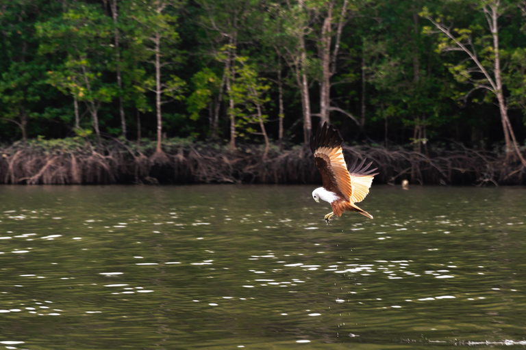 Langkawi Mangrove boottocht op de rivier en privéstrandtourMedium boot (9-12 personen)