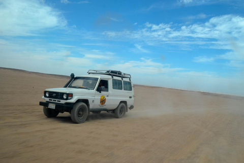 Hurghada: Quad Bike, Buggy, Jeep Safari, Przejażdżka na wielbłądzie i KolacjaQuad Bike, Buggy, Jeep Safari, Przejażdżka na wielbłądzie i kolacja