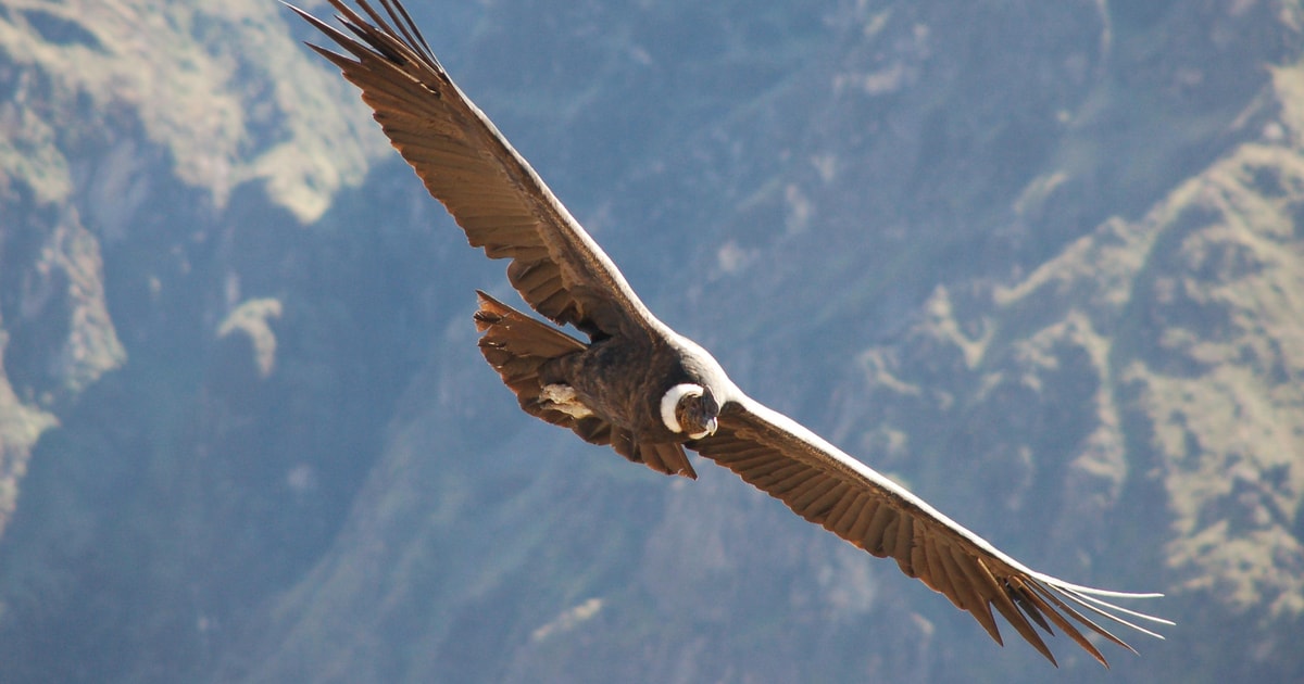 Samaipata: Escursione guidata sul Sentiero del Condor e alla cascata ...