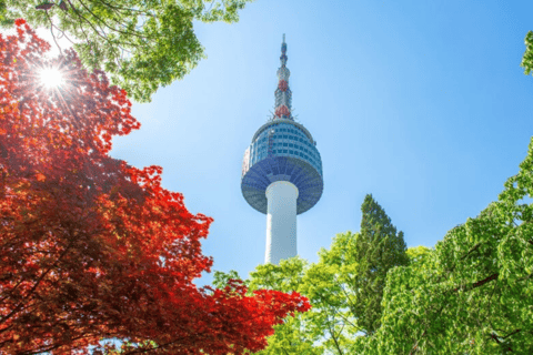 N Seoul Tower Observatory Ticket & N Burger Set