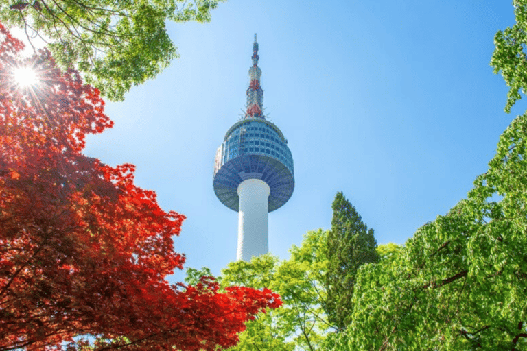 N Seoul Tower Observatory Ticket & N Burger Set