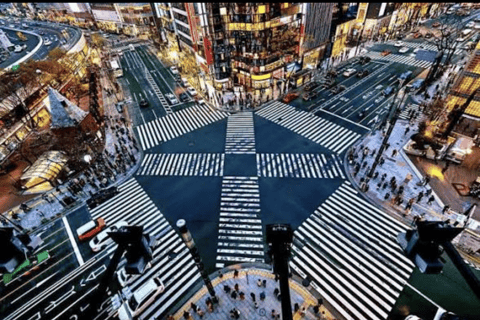 Tokyo: Private City Tour with Tokyo TeamLab Planets.