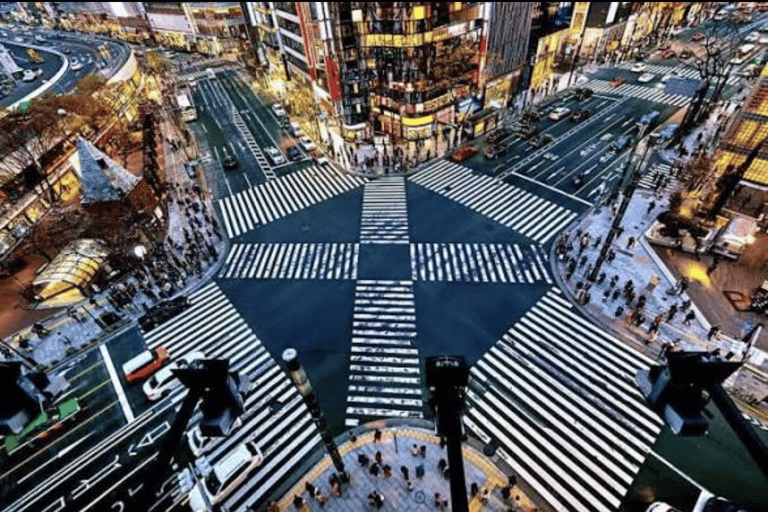 Tokyo: Private City Tour with Tokyo TeamLab Planets.